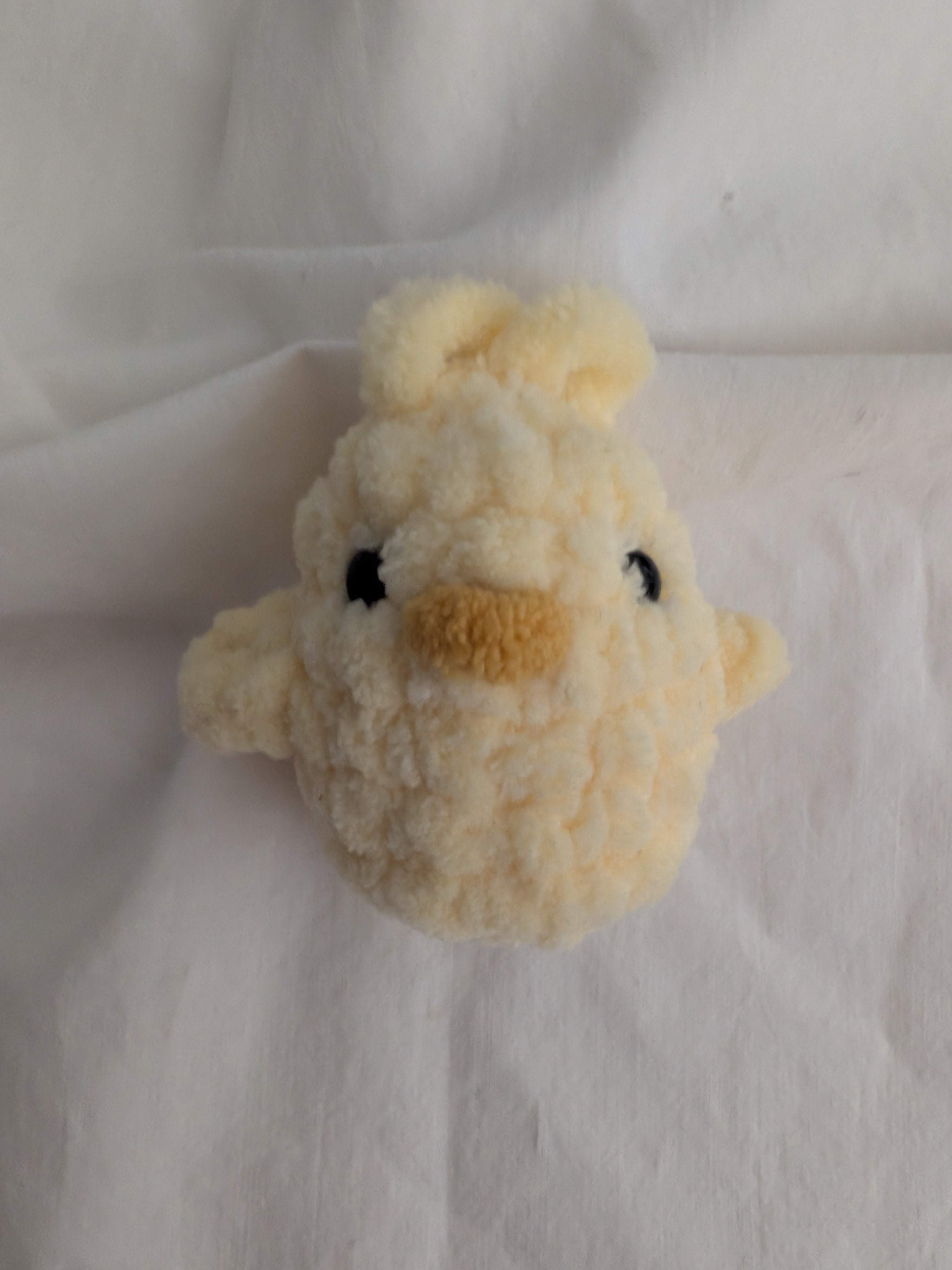 Baby Chick